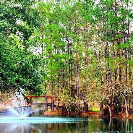 Waterfront Houston Hide Out In A Magical Forest 월러 외부 사진