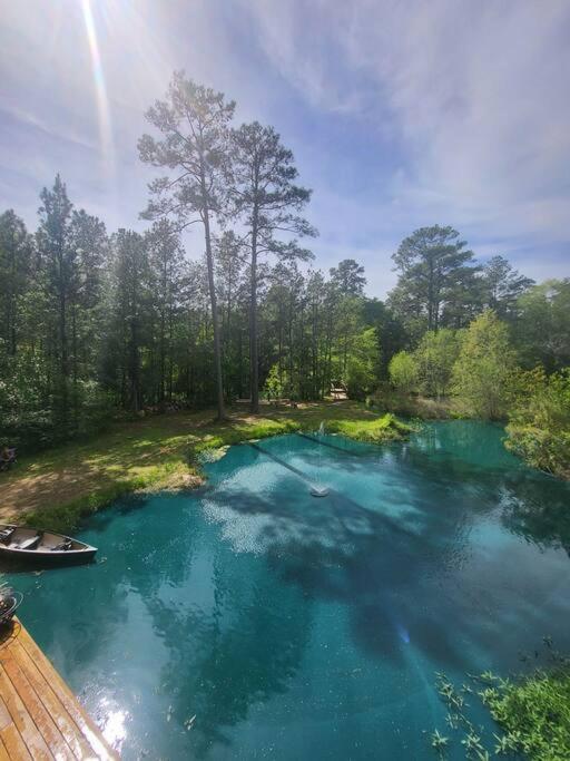 Waterfront Houston Hide Out In A Magical Forest 월러 외부 사진
